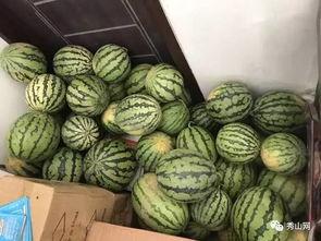 吃瓜照片500张,揭秘娱乐圈幕后故事 第3张 吃瓜照片500张,揭秘娱乐圈幕后故事 第3张